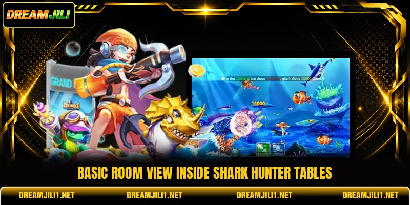 Basic room view inside Shark Hunter tables Basic room view inside Shark Hunter tables