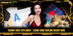 Casino Shoe Explained - Learn Card Dealing Basics Now