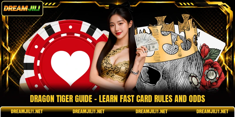 Dragon Tiger Guide - Learn Fast Card Rules And Odds