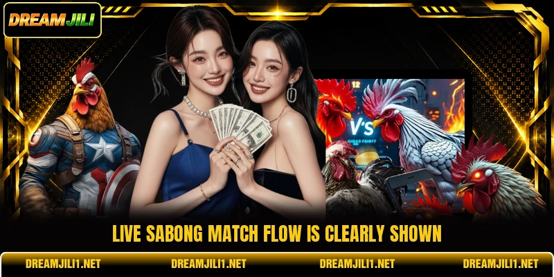Live sabong match flow is clearly shown Live sabong match flow is clearly shown
