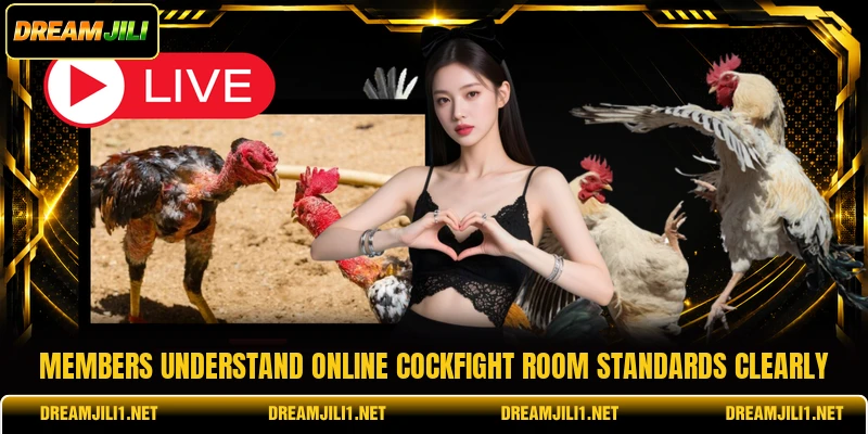 Members understand online cockfight room standards clearly Members understand online cockfight room standards clearly
