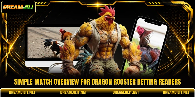 Simple match overview for dragon rooster betting readers Simple match overview for dragon rooster betting readers